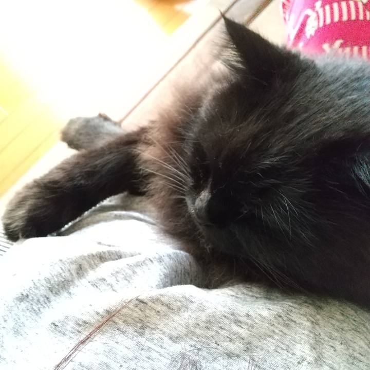 3214f2ae d708 49d7 b0f4 b8df94423b50 1597018025164