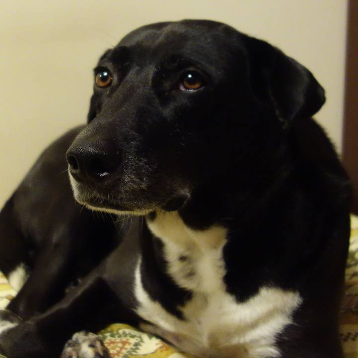 3214f5ad 3539 4a67 8bc3 0306572cf0d7 1669719671209