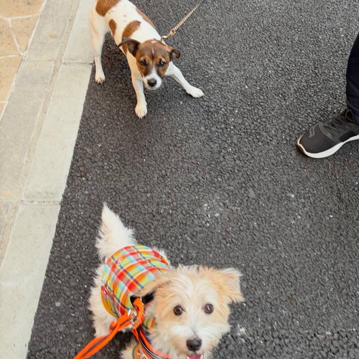 32151e0b 9705 4d05 8af7 d86a05bd0a2e 1760780650884