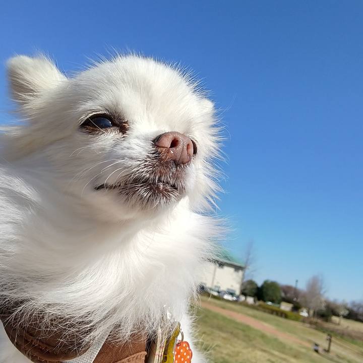 32151e7a d3de 4f48 bf77 59f116aade89 1679216379321