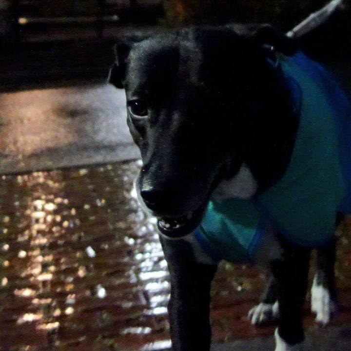 32152de4 eedb 4866 ba15 de799cfcdde6 1714560276880