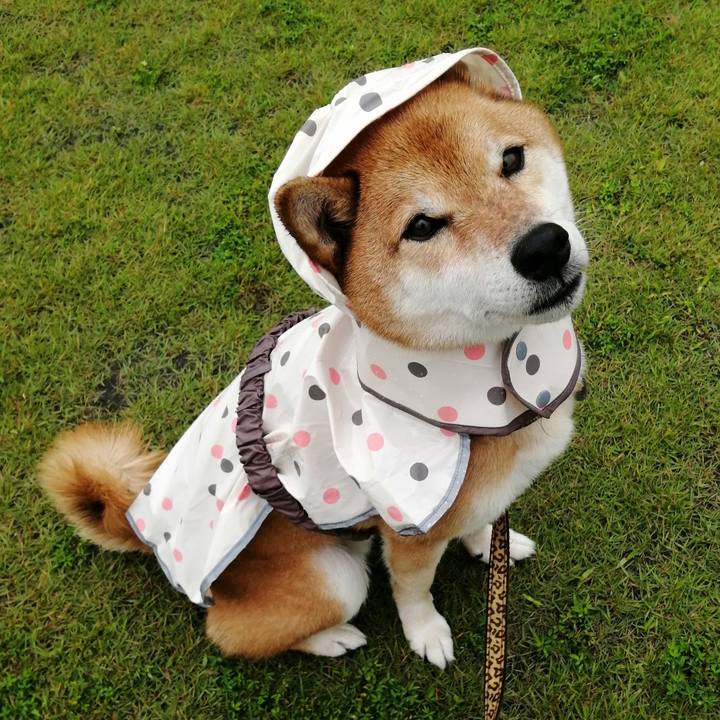 3215431f 5985 41a4 8ae9 1165a51e5d13 1625207936935