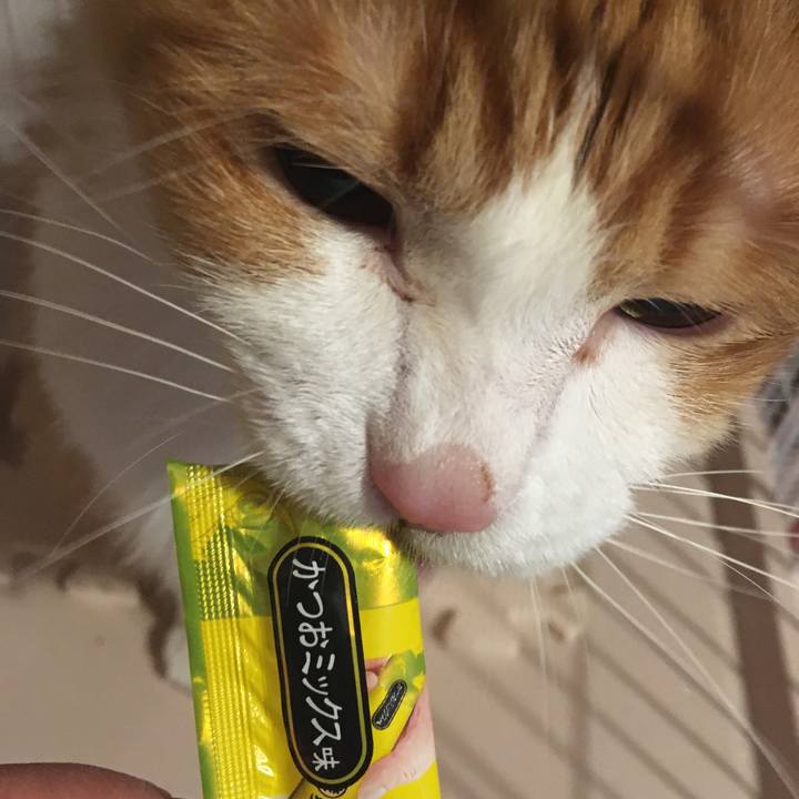 32154485 5ffb 4e72 be71 bed12a8d6688 1581075893428