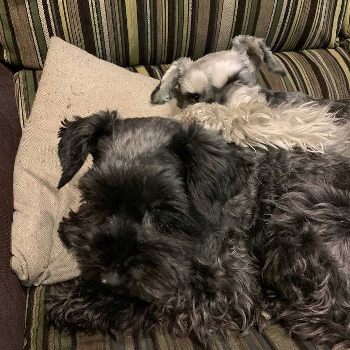 3215452e 1276 443f 9ce8 f4cb392be935 1615200751796