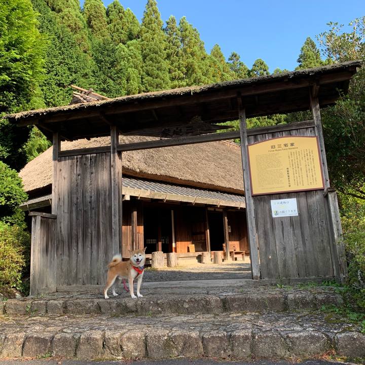 32155226 b6be 4548 9125 b7273fc7d125 1601976881977