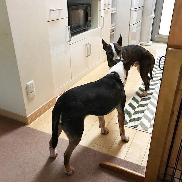 3215c98c 1fd0 44e3 a22c 0fad92212218 1519994142881