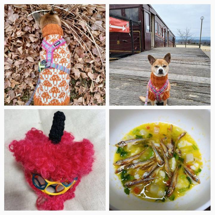 3215dc4c e757 484f b2a4 114465c6bf95 1642926558011