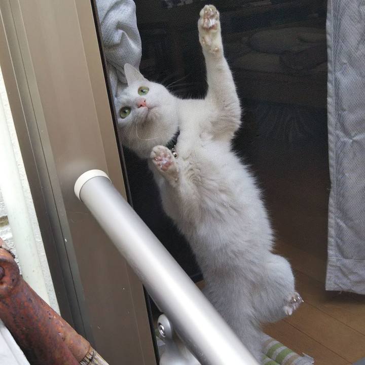 3215eab5 dd77 4c10 910c 7cc8fb980dfa 1645945904658