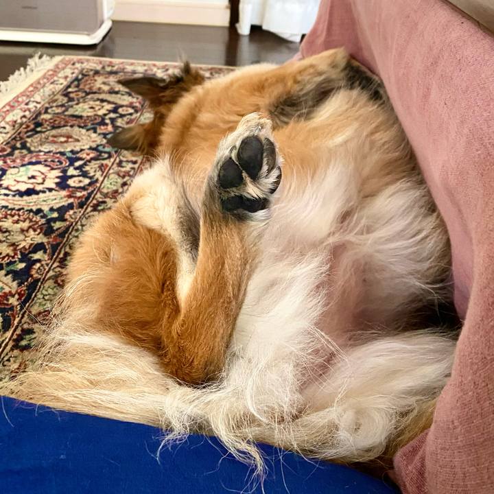 32160b32 f34d 4e20 a159 ed1c3448635d 1767078149272