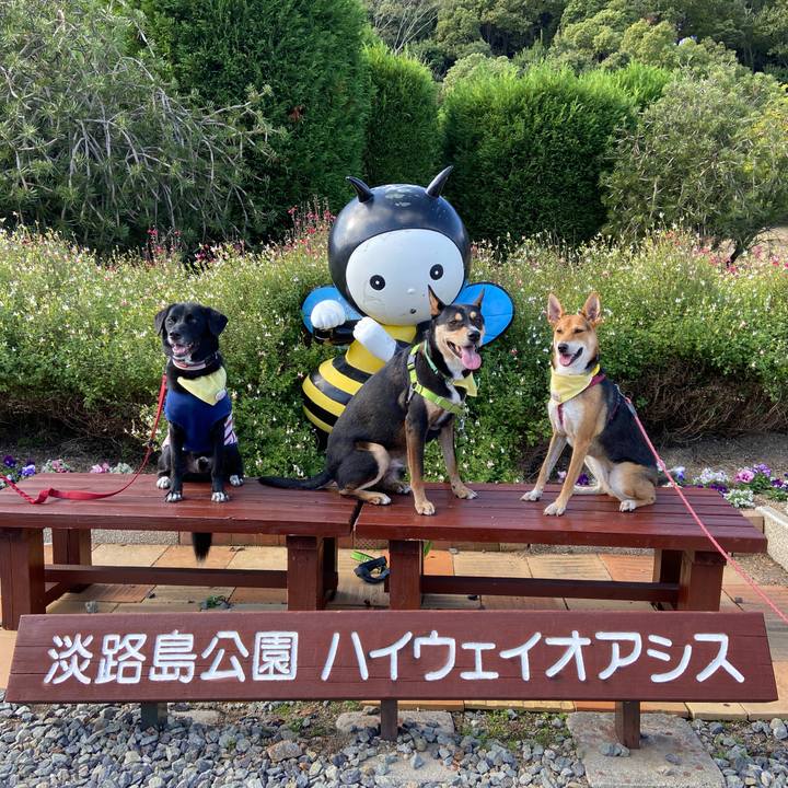 32162b6e c873 44a0 81d7 292189b5bcf8 1605444832765