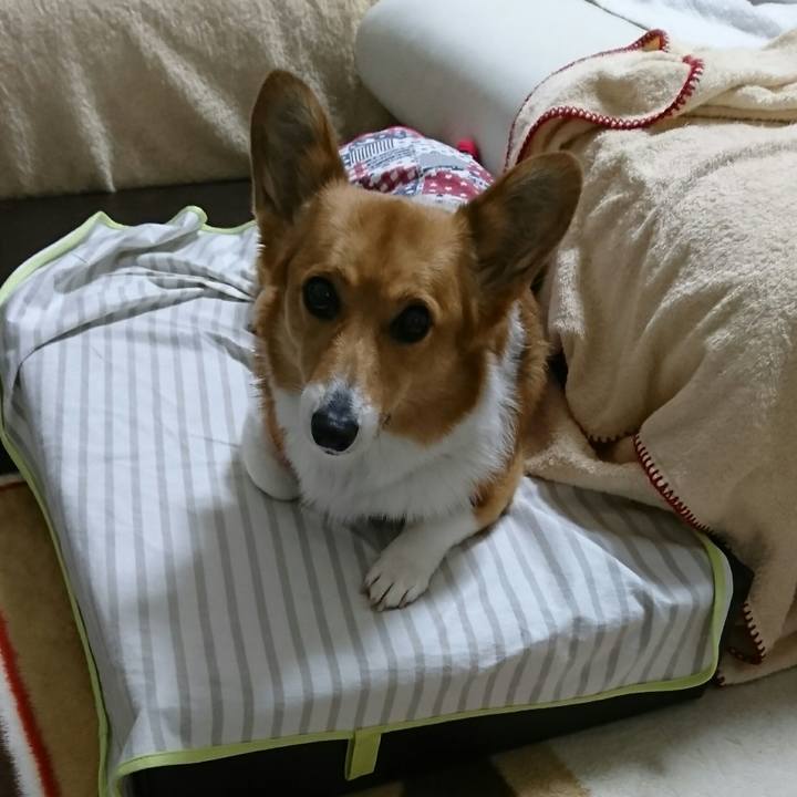 32164a9d 6d90 481f bc60 66bf594753b2 1521685265879