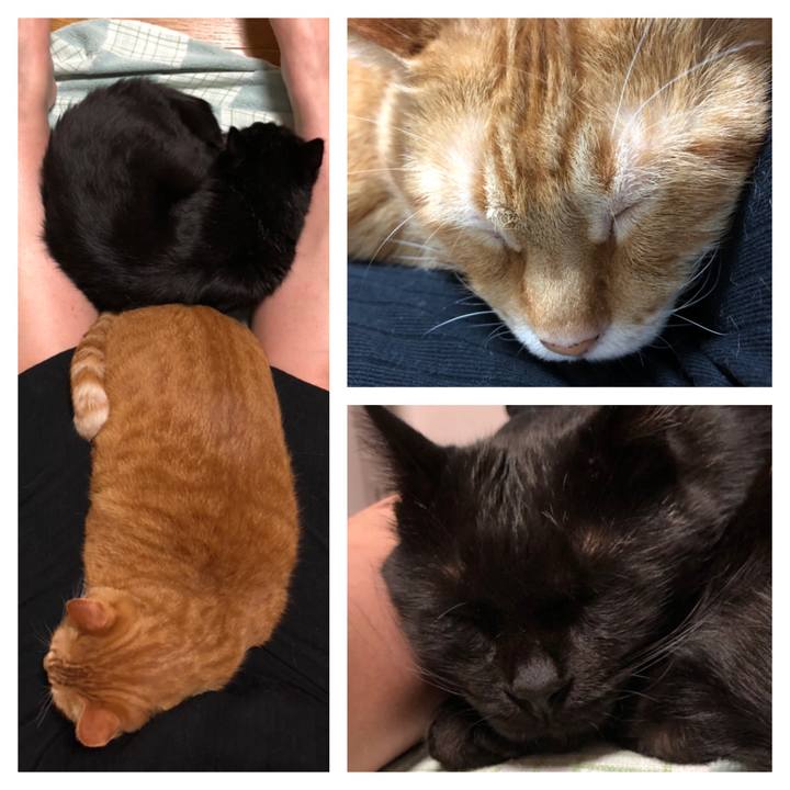 32165d9f 2ab7 4cab 9d55 7ce1cb667114 1562683291885