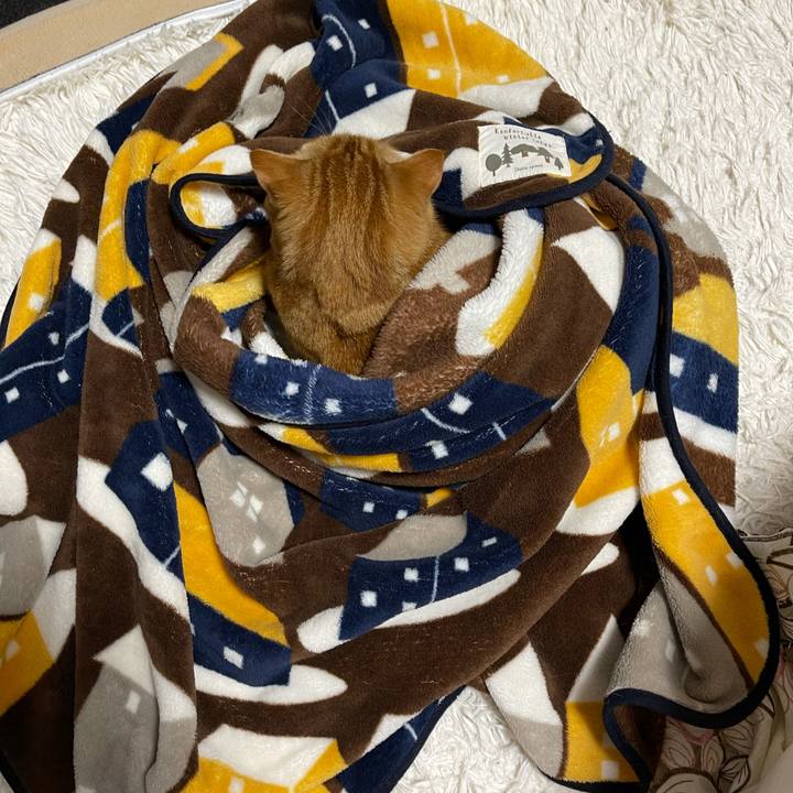 32167147 dce2 4c3e a887 b847069b9819 1624105964777