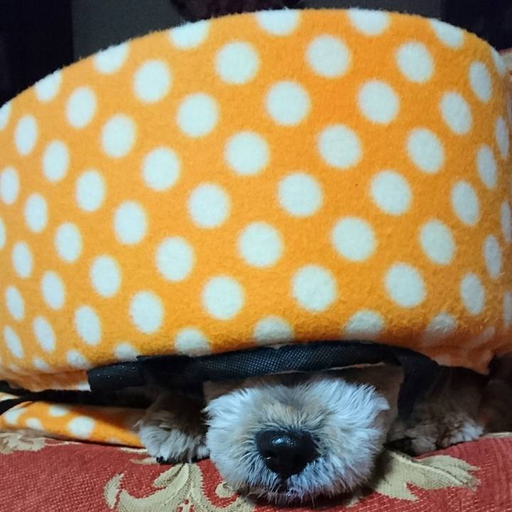 3216c620 ea40 482c 96c1 0021f7b1ab55 1515973089777