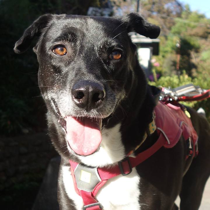 3216e25f 0957 44a3 b159 04cac17dd99c 1697935491264