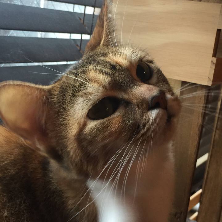 3216e278 3cbb 4b02 831f 9725263ac485 1574492389794