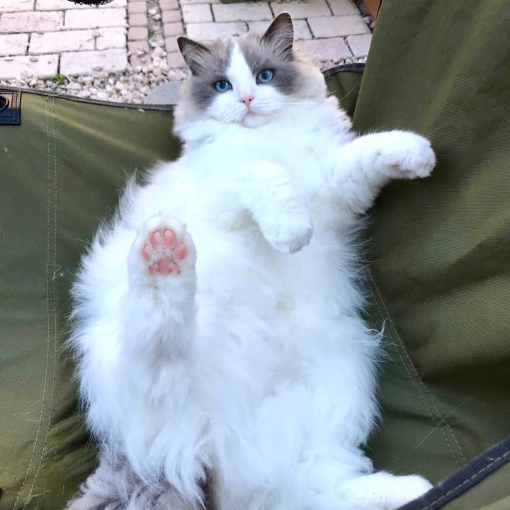 321722fe 1935 46ec b961 4b4dd33875a2 1623528522083