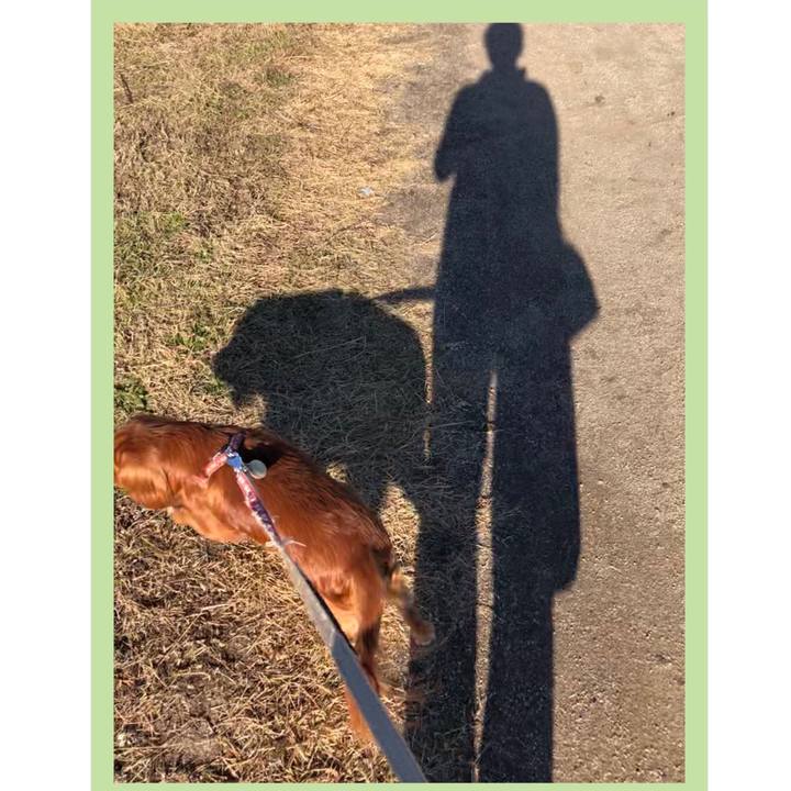 32172ed5 6a70 49c0 87a9 788cedb906fc 1574496794734