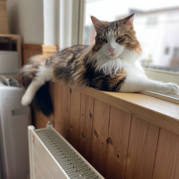 321731fc 0edb 4849 bc11 1f4a2069be7c 1650144991629