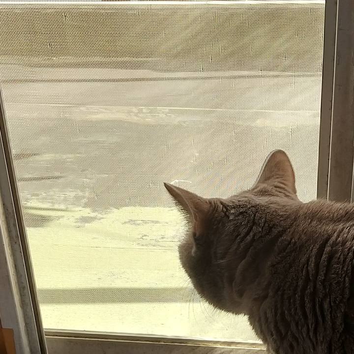 32173ed3 0d5e 43d5 bddc 0713ce998c6c 1633929412747