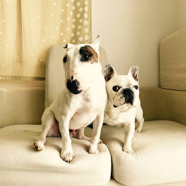 321781e2 7233 46e3 b944 a99853201eb4 1517872456213