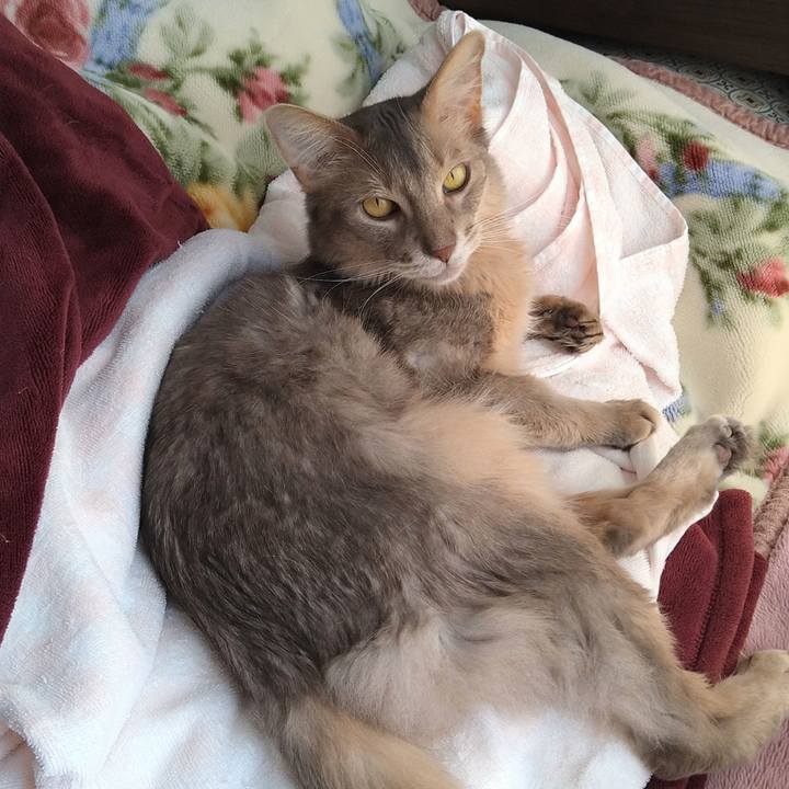 3217e802 e00d 4741 84e6 5a33c7fc2087 1619097382295