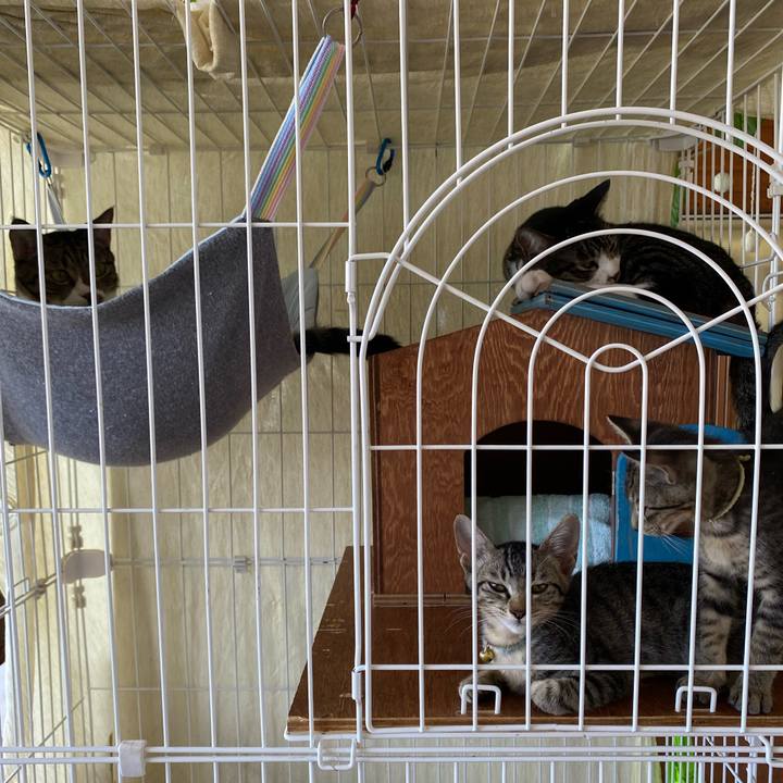 3218308a c60f 4869 8be4 7f9740688766 1722742090371