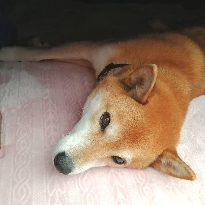 32186e77 1216 4417 94bb ab012410d4f7 1670391419516