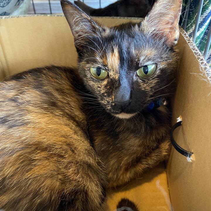 32187bfe b16d 4491 b494 0e7737c8c121 1716364028525