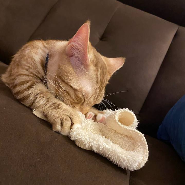 32189e5b 3bee 4f92 8cb7 1d298e5abcb5 1601194484822