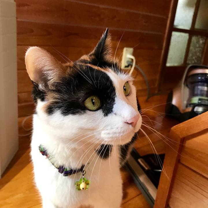 3218a0c0 2b6e 430b 8738 6b617dadcdb6 1541293135122