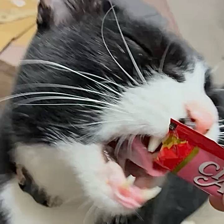 3218bdc4 e07c 4d28 b424 93296cb9176d 1755682665641