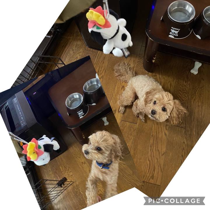 3218c44c d971 4d07 919f 2d9cc24b8fab 1711968004300