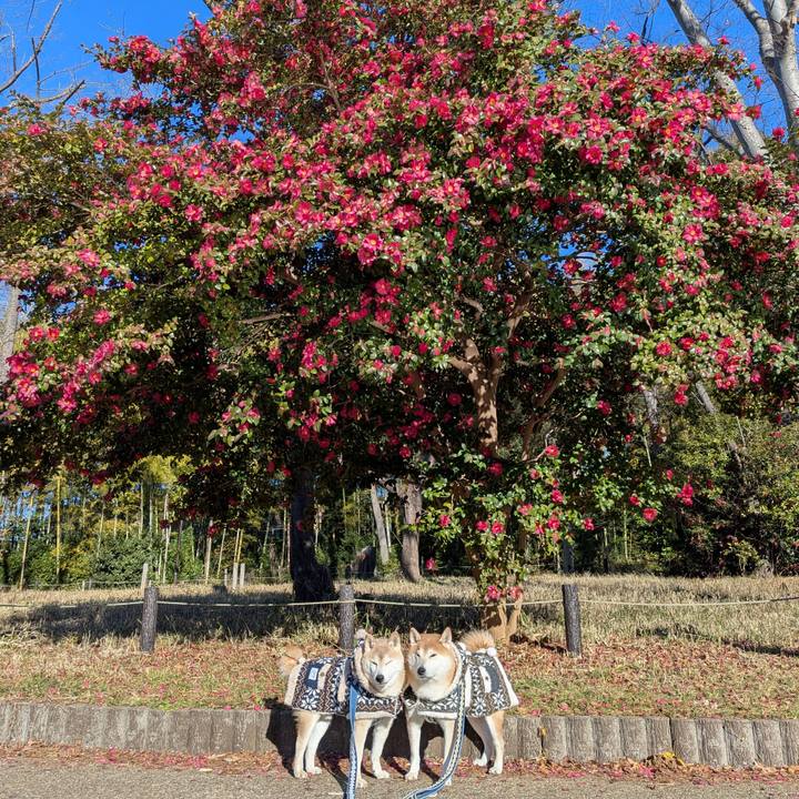 321907ce 22a6 4d01 8b6b 39cd3b22027b 1768016842863