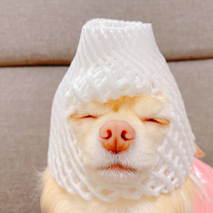 321910d2 bba6 49bf b426 fcf3ce8c590d 1646221410729