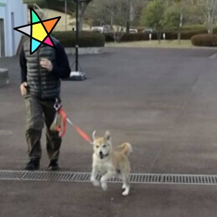 32192dac 85fc 4d99 a128 3642a22d5202 1546909503380