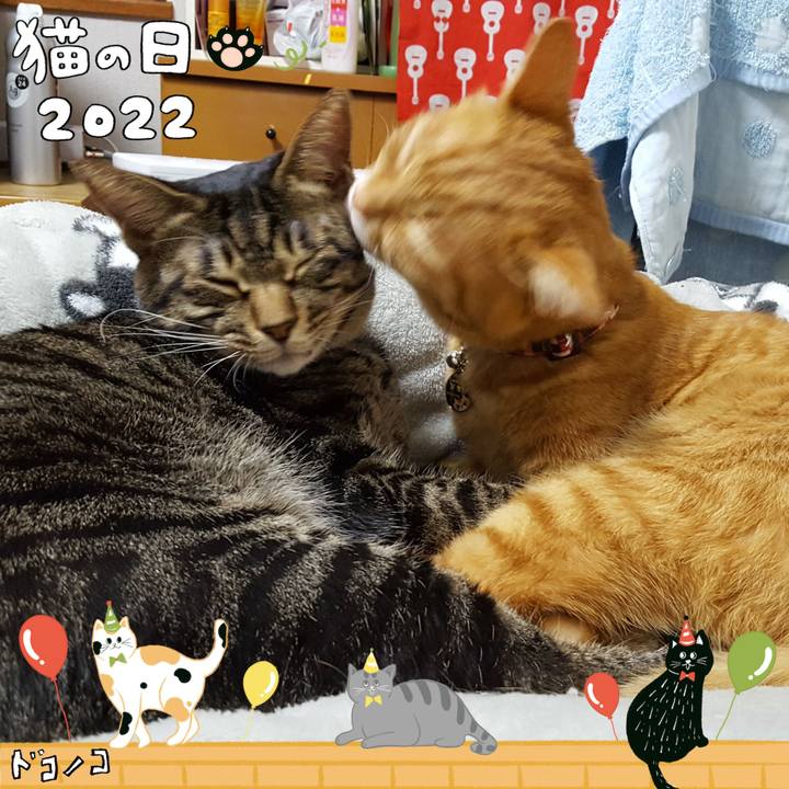 3219338b 9070 4656 8698 fc02f543a2de 1645506936280