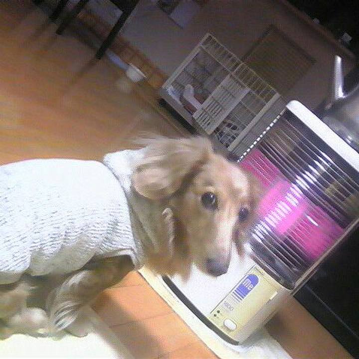 3219473c 04c9 4b5d 8419 7b090fc4a6aa 1576839306146