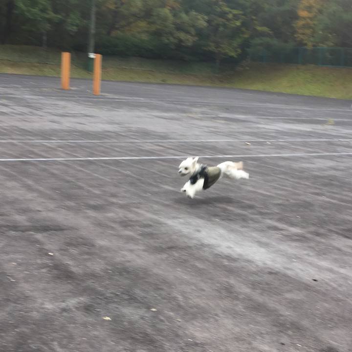 321957e7 6352 4fad b3c6 a15b63b56934 1509191895291