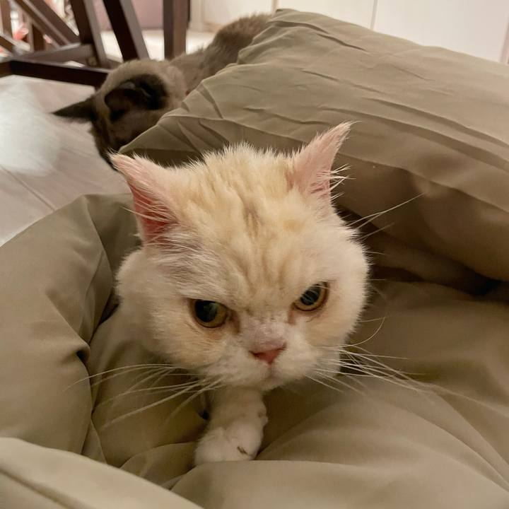 3219a635 e5d3 4607 ad1e 3716836ea41e 1767971356641