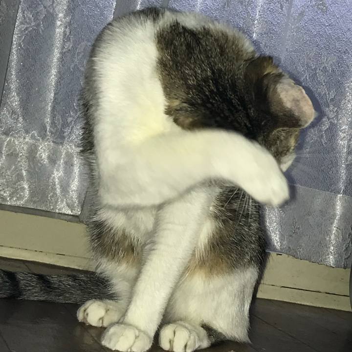 3219a991 3a8e 4676 aaf4 d54f025957fb 1626347104564