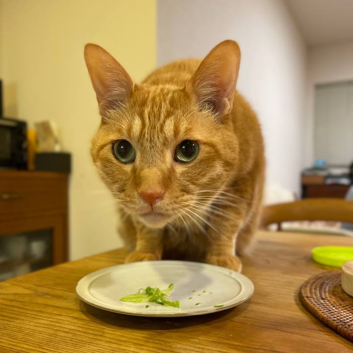 3219af32 a2af 49bb 82fe d4f375772c87 1731591411372