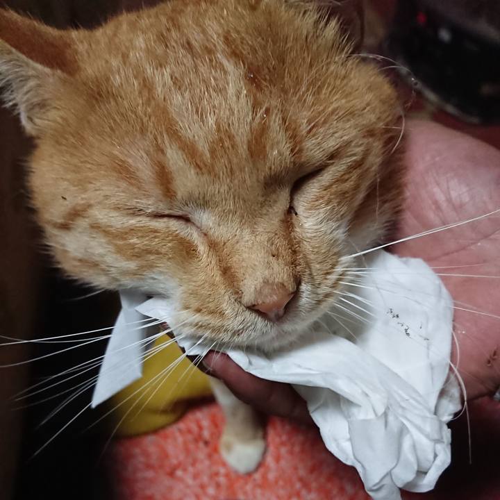 3219d164 c390 4a7a 8e93 16b6c2e77f3e 1570827617186