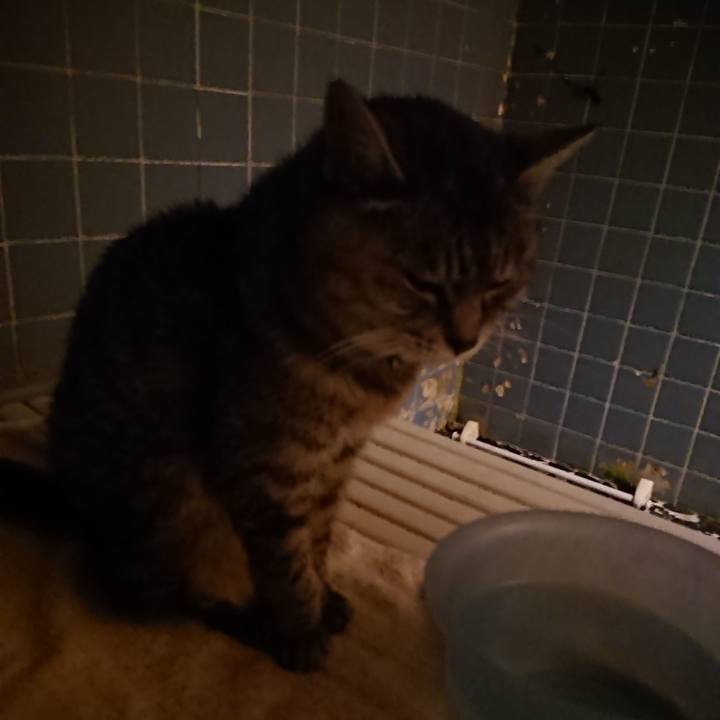 3219e219 ecd6 4258 a399 eb4d87b7add4 1571736937596