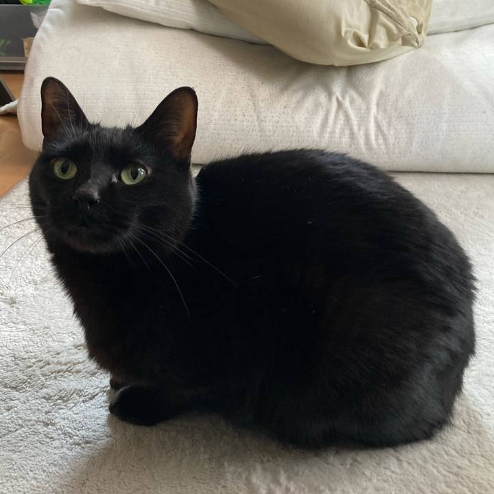 321a17a7 ac71 4b03 9fe8 e804fe1867d5 1771835738925