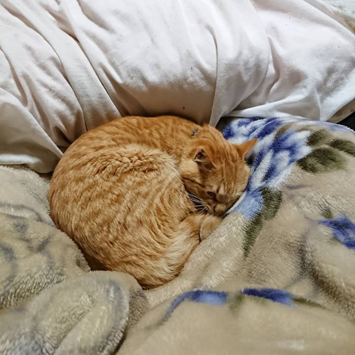 321a31a3 2281 4385 aa00 2feec9061109 1648556477242