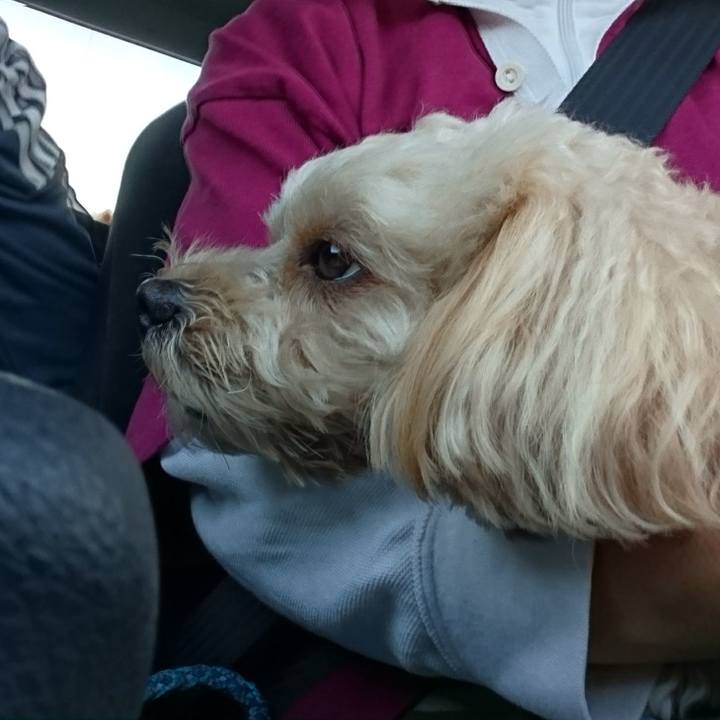 321a69fa efd1 490a 8bbc b6f49ce96b58 1541917289470