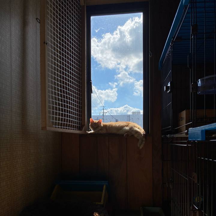 321a8780 078f 4a1d 8a66 26f17a8e74c6 1731382694579