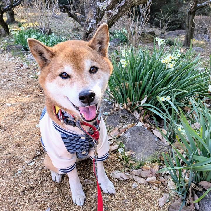 321a94a2 1882 44ef 8f89 e5877c328d22 1740659579283