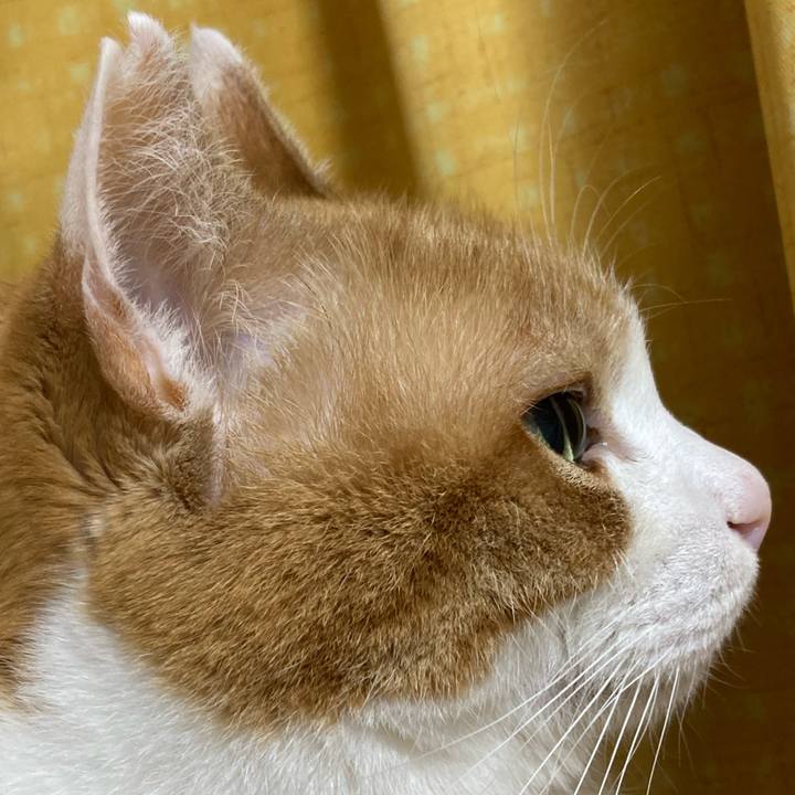 321ab791 403d 486b 8cb0 7610436d0bf1 1776509135654